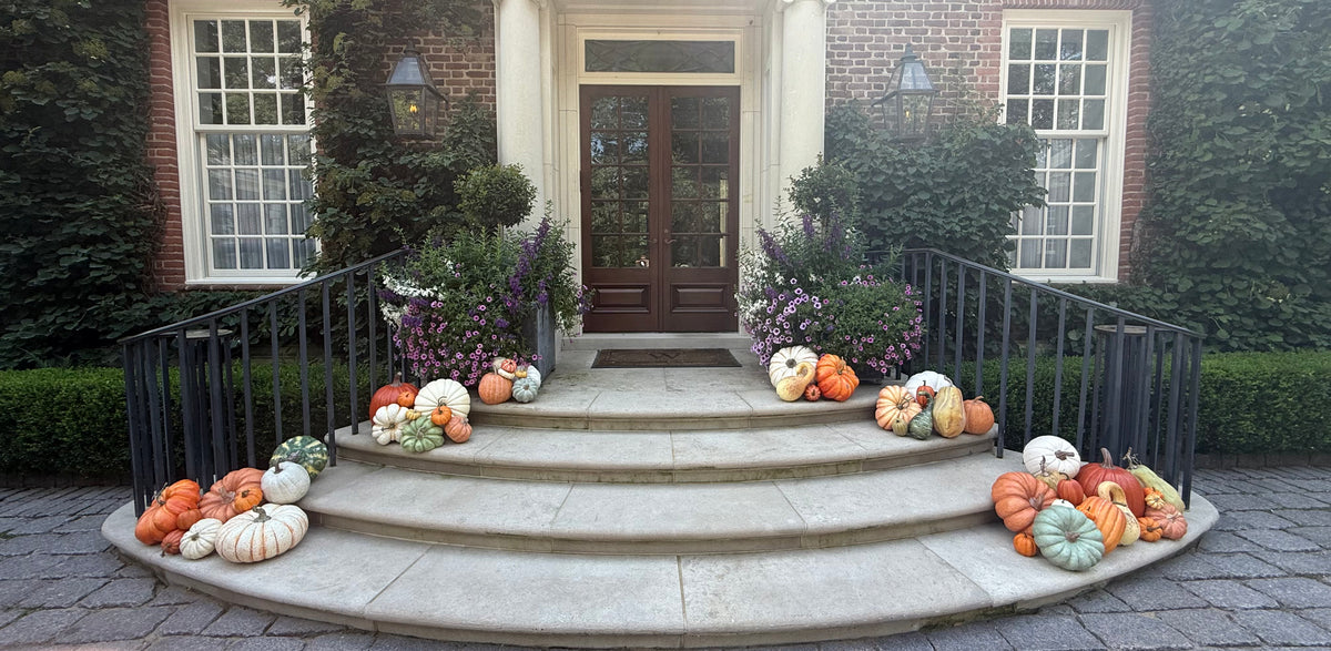 Package #2 - The Grand Gourd