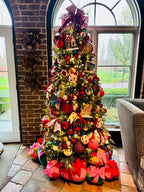 Holiday Housecall