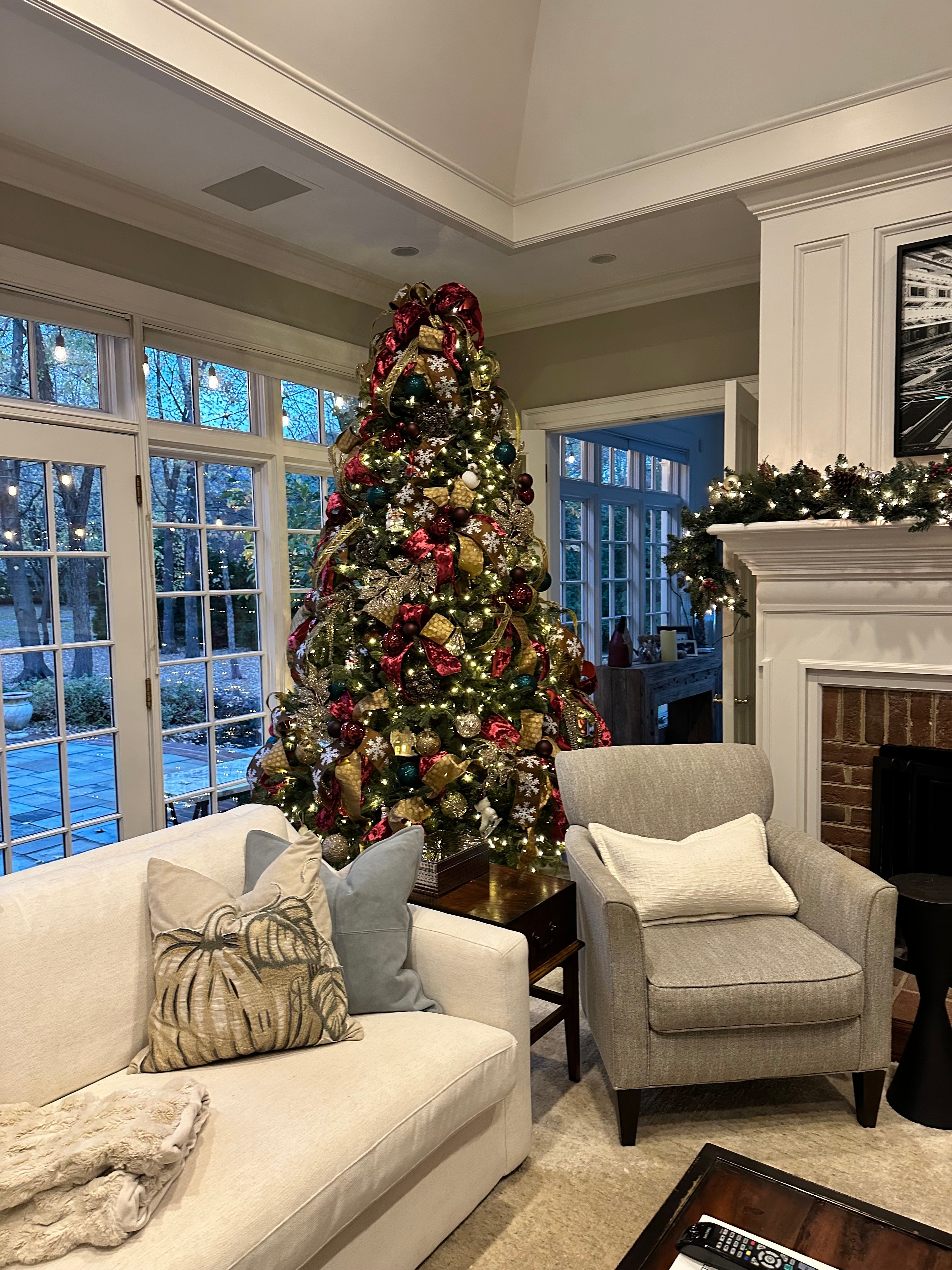 Holiday Housecall